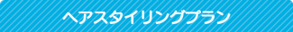 ヘアスタイリングプラン ヘアスタイリングプラン